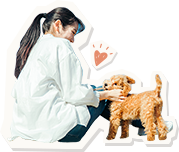 女性と犬