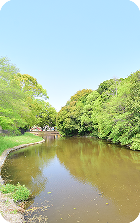 王塚公園