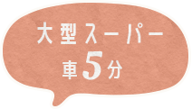 大型スーパー車5分