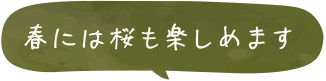 春には桜も楽しめます