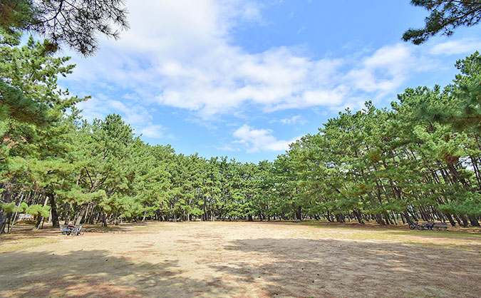 浜の宮公園