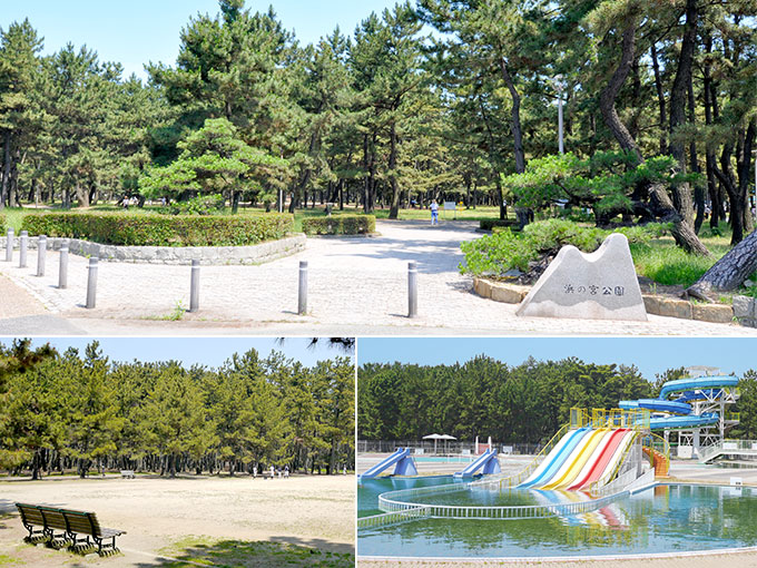 浜の宮公園