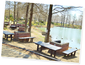 天満大池公園BBQ