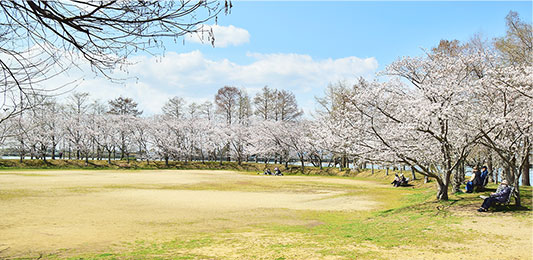 天満大池公園広場