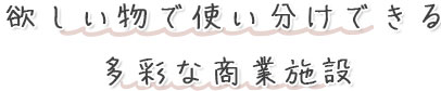 欲しい物で使い分けできる多彩な商業施設