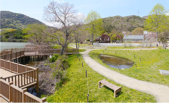 市ノ池公園