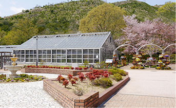 市ノ池公園