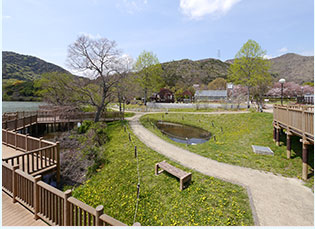 市ノ池公園2