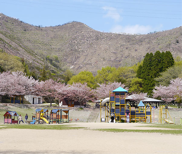 市ノ池公園