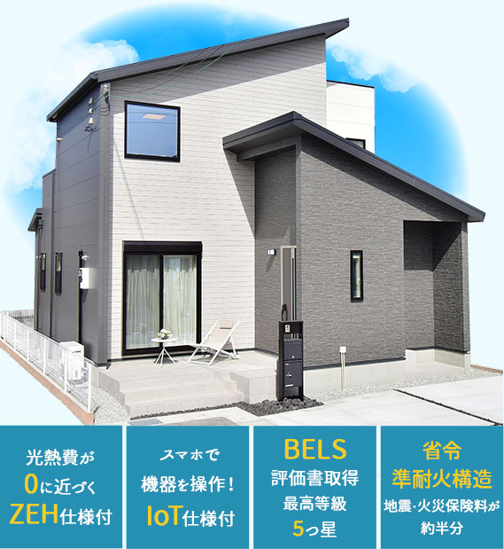 4号地外観