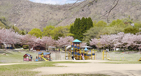 市ノ池公園