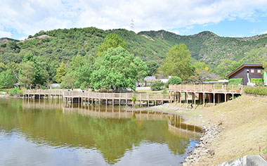 市ノ池公園2