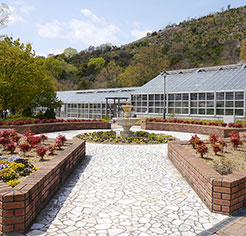 市ノ池公園3