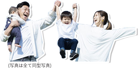 12号地家族