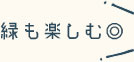 緑も楽しむ◎