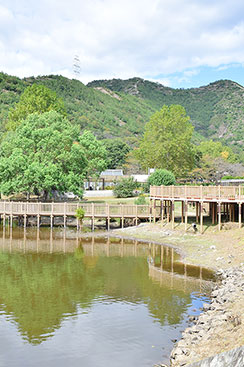 市ノ池公園2