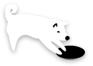 ペット