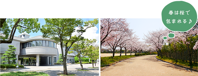 公園