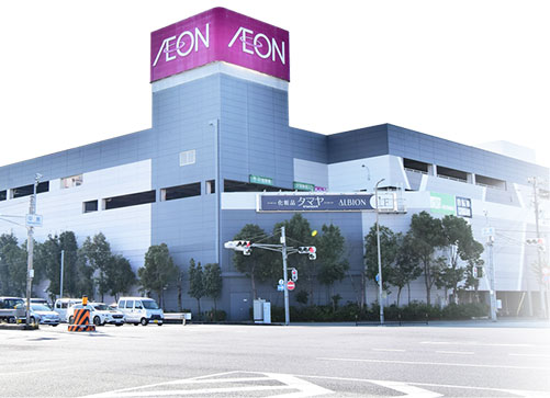 ion