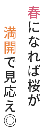 春になれば桜が満開で見応え◎