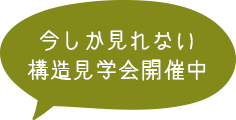 今しか見れない 構造見学会開催中