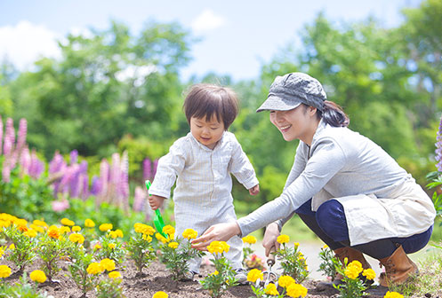 家庭菜園