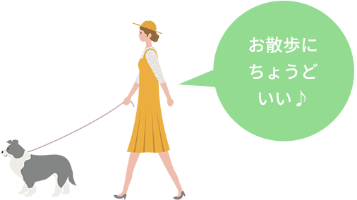 散歩にちょうどいい♪