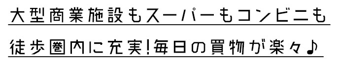 買物施設が徒歩圏内に充実！