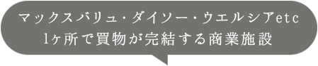 1ヶ所で買物が完結する商業施設