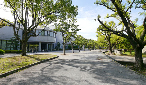 運動公園
