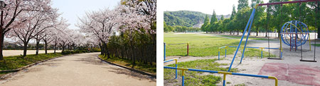 公園2