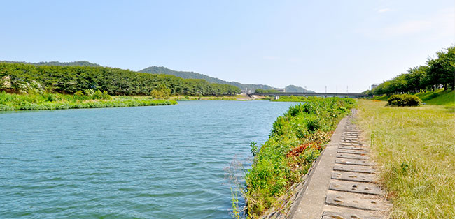 自然に憩う夢前川