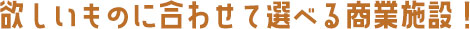 欲しいものに合わせて選べる商業施設！