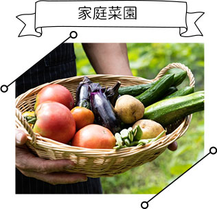 家庭菜園