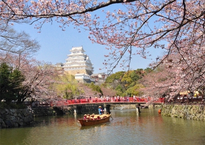 姫路城と桜-大