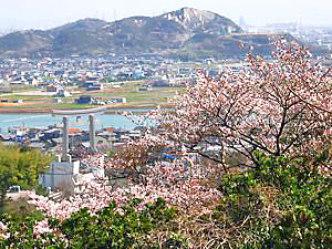 鹿島・扇平自然公園