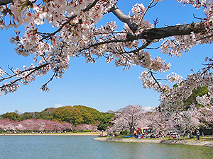 明石公園