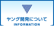 ヤング開発について