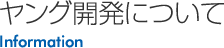ヤング開発について