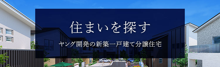 住まいを探す ヤング開発の新築一戸建て分譲住宅