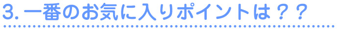 3.一番のお気に入りポイントは？？