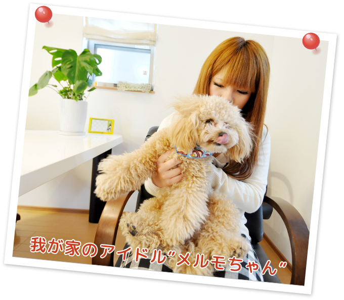 我が家のアイドルメルモちゃん