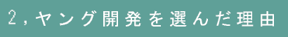 2,ヤング開発を選んだ理由