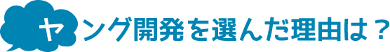 ヤング開発を選んだ理由は？