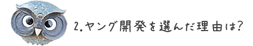 2.ヤング開発を選んだ理由は?