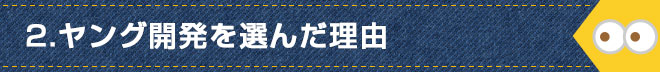 2.ヤング開発を選んだ理由