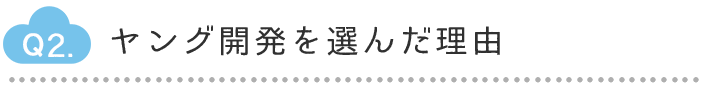 Q2.ヤング開発を選んだ理由