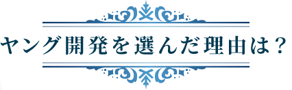ヤング開発を選んだ理由は？
