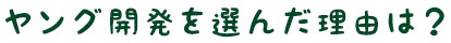 ヤング開発を選んだ理由は？