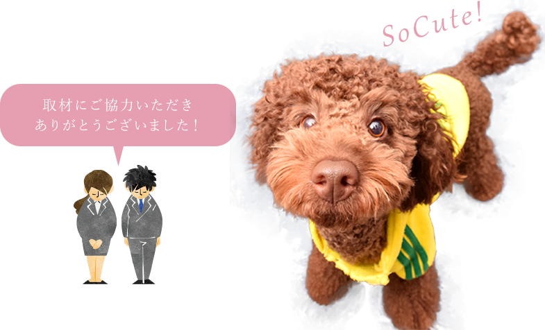 ご協力いただきありがとうございました！